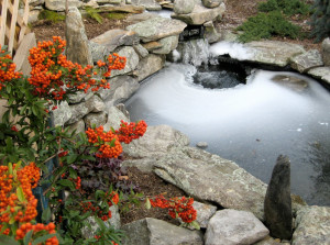 Garden Pond Water Features Kidderminster